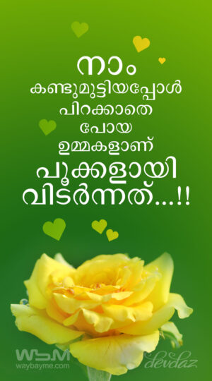 wishing you all of the love and happiness meaning in malayalam