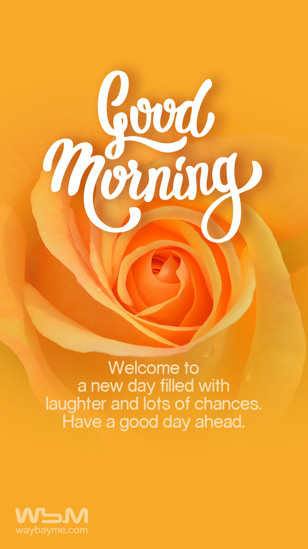 Wednesday good morning | Good morning images with quotes and wishes to  share on WhatsApp for a happy Wednesday | Times Now